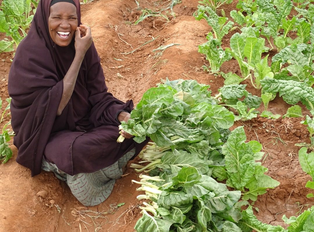Farhiya Ali Mohamed (43) with her produce at the IDP camp in Gedo, Somalia Credit: Somali Humanitarian Relief Action 