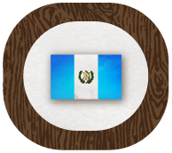 activity icon