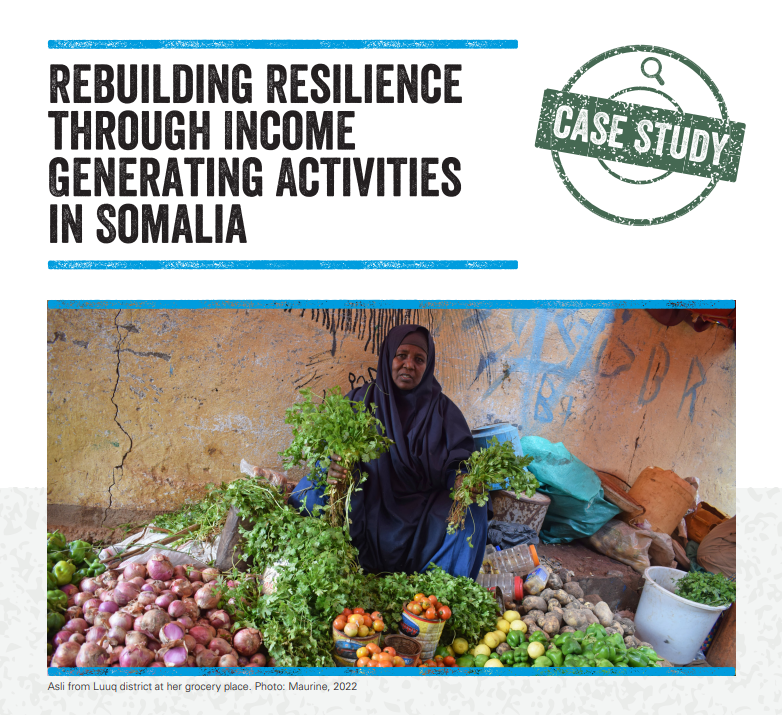 Rebuilding Resilience through Income Generating Activities in Somalia